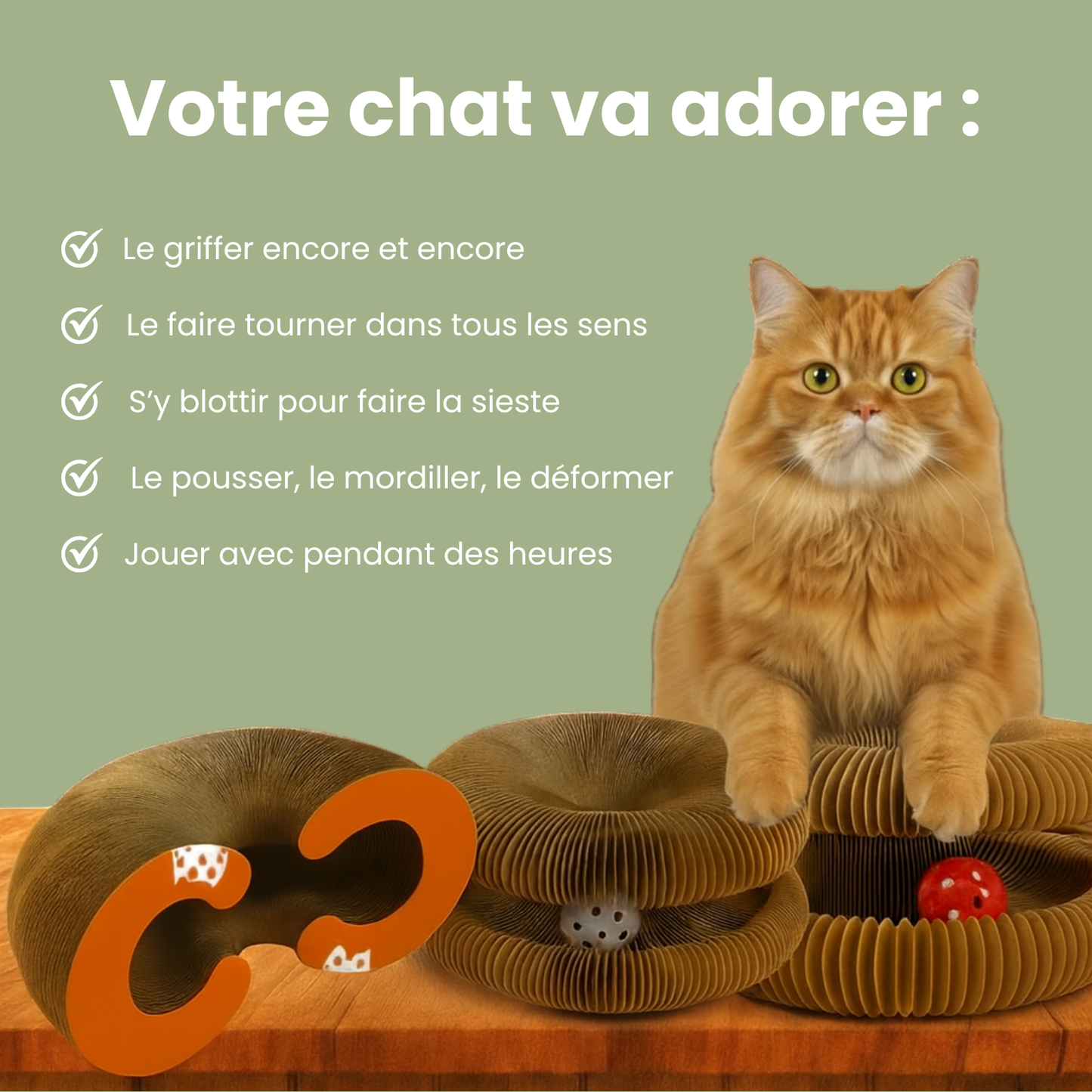 Griffoir interactif pour chats