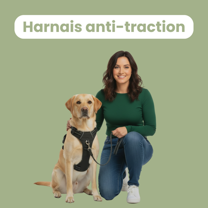 FlexControl™ – Harnais anti-traction
