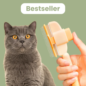 Brosse anti-poils