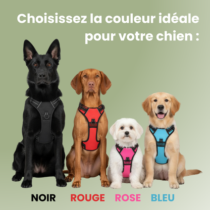 FlexControl™ – Harnais anti-traction