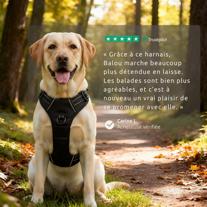 FlexControl™ – Harnais anti-traction