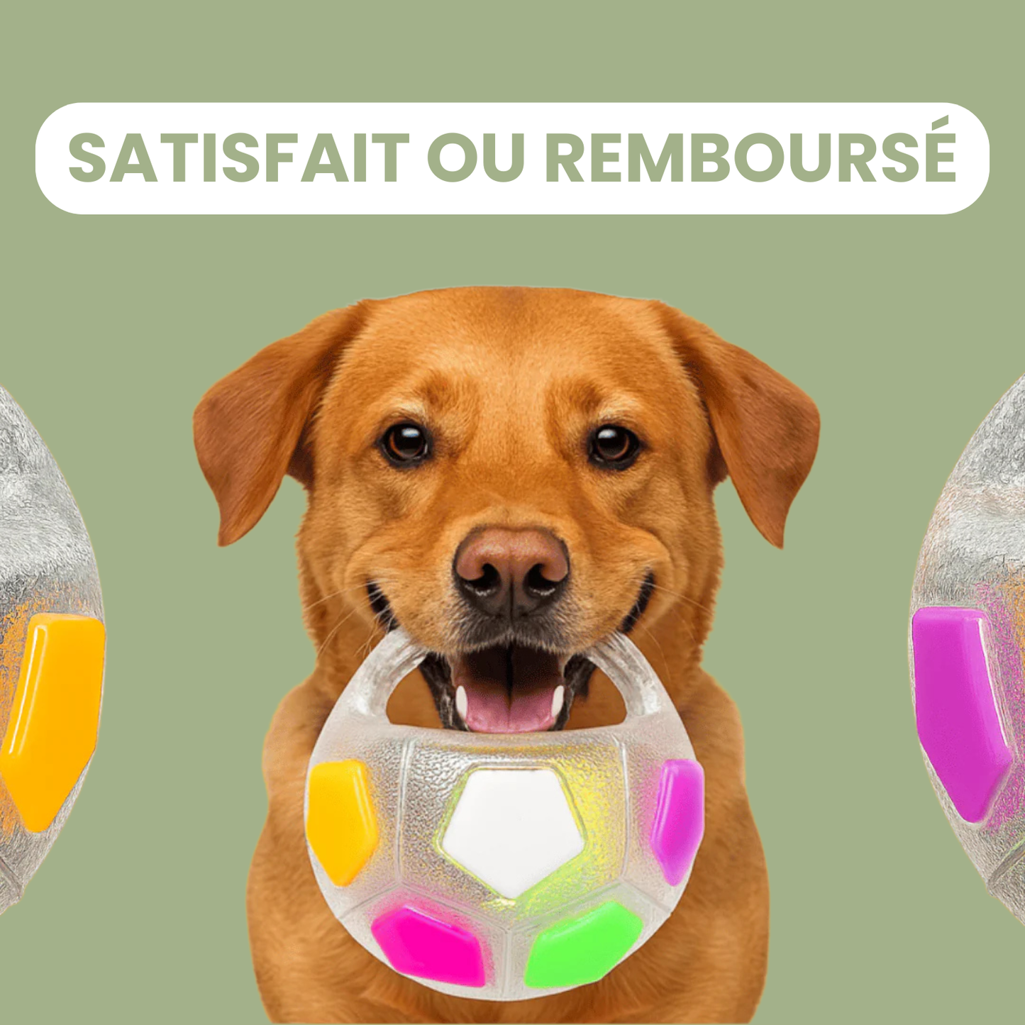 DogPlay - Balle anti-stress