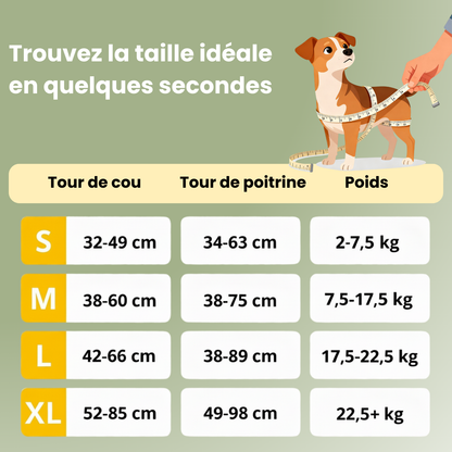 FlexControl™ – Harnais anti-traction