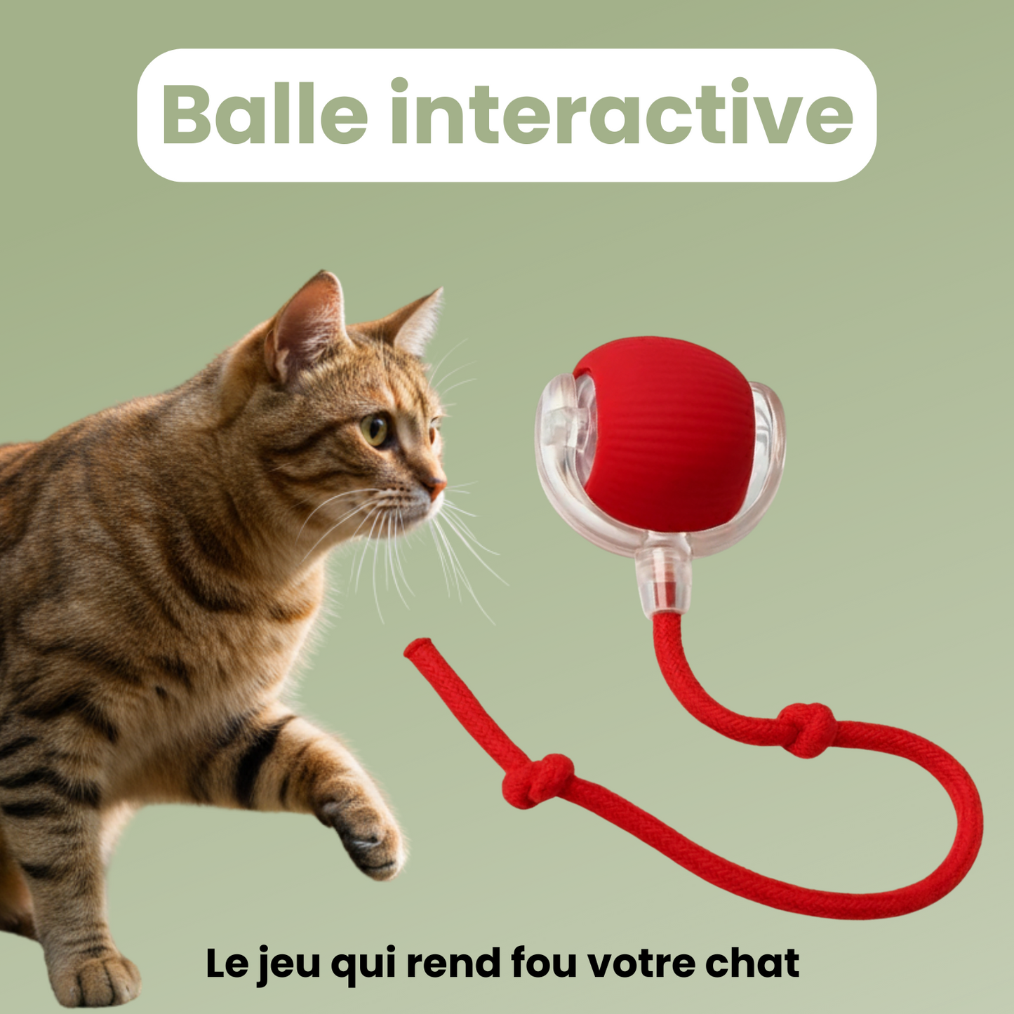 CrazyBall™ - Balle Interactive